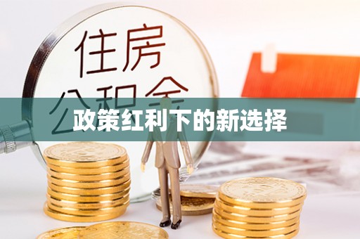 吉利政策红利下的新选择